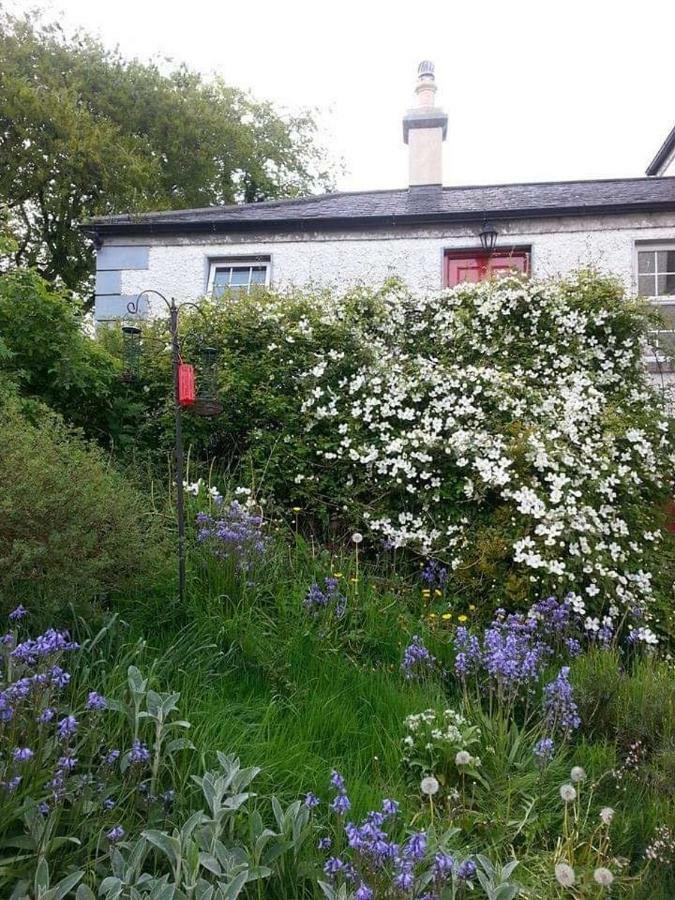 Gormanstown House Apt, The Island Apartment Tullamore Exterior photo